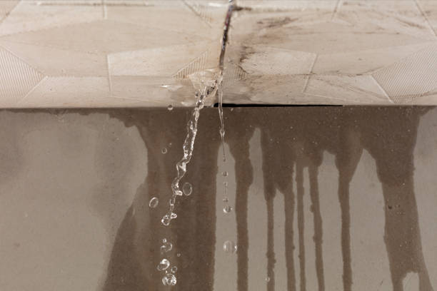 Professional Water Extraction technician working in Allen, TX